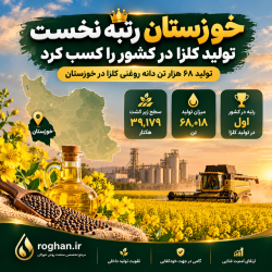 خوزستان در صدر تولید کلزا؛ برداشت بیش از ۶۸ هزار تن دانه روغنی